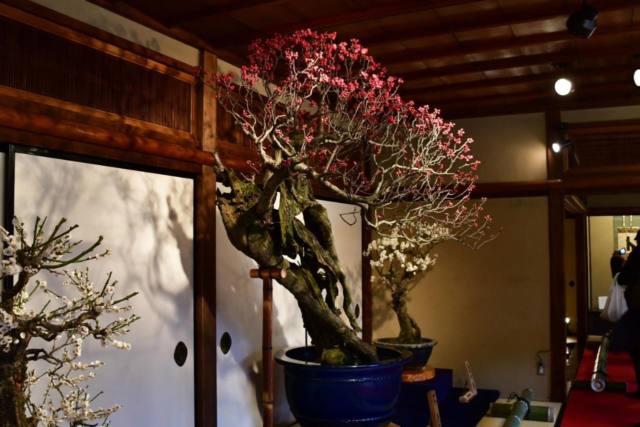 Cozy House 8, Free Wifi A Rented Electric Bicycle Apartment Kyoto Exterior foto